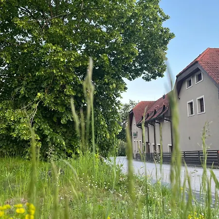 U Lyzare Pensión 3*