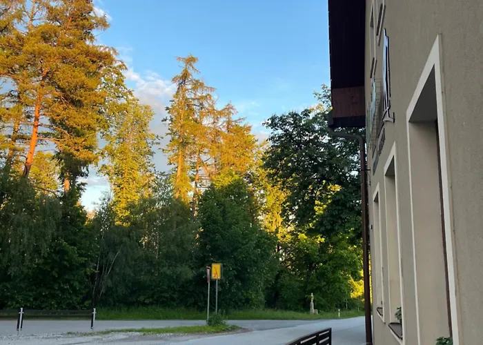 U Lyzare 3* Jihlava